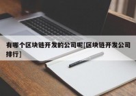 有哪个区块链开发的公司呢[区块链开发公司排行]